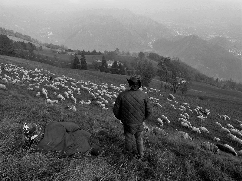 La vita quotidiana dei pastori